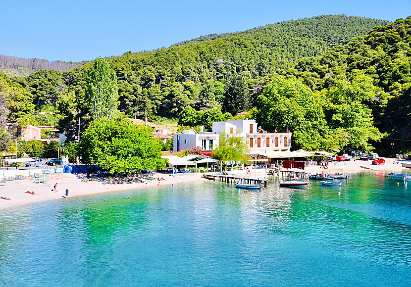 Agnontas. Skopelos. Kreikka.