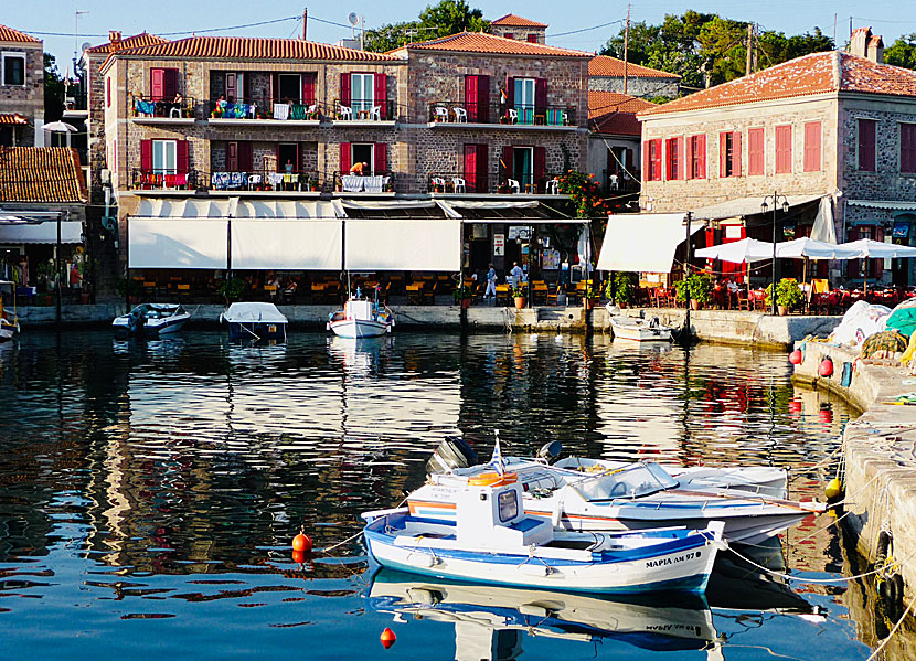 Öluffar du till Lesbos måste du boka hotell i förväg. Som här på Sea Horse Hotel i Molyvos.