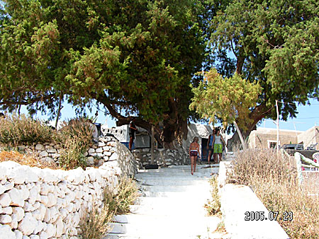 Taverna under the trees.  Karpathos.