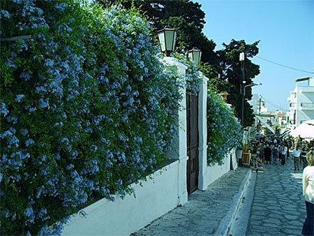 Panagia Evangelistria i Tinos stad.