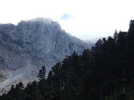 Dirfis mountains. Evia.