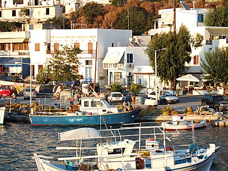 Linaria. Skyros
