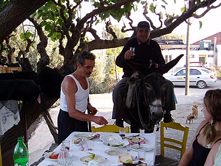 Ioannis,Vasili och åsnan.