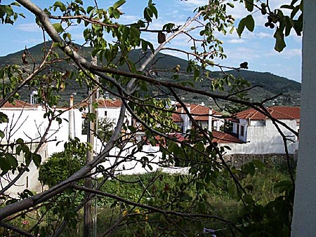 Skopelos. Stella Studios .