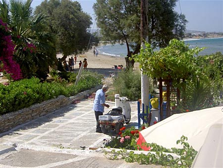 Naxos. Finikas.