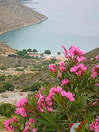 Akti beach på Kalymnos.