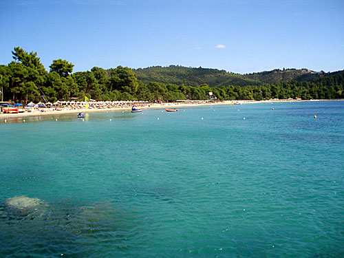 Koukounaries Beach. Skiathos.