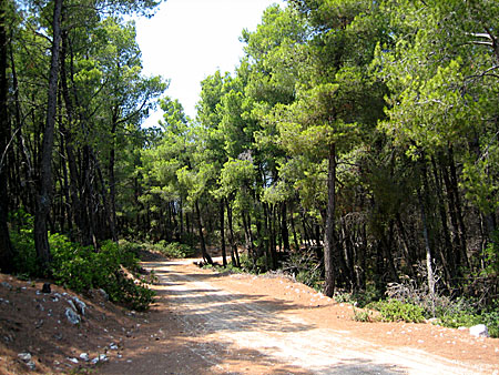 Västra Skopelos.