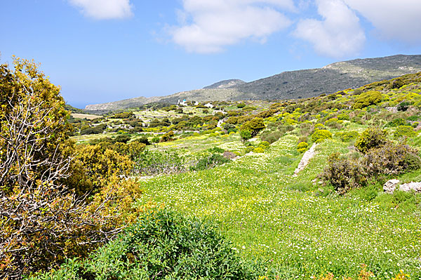 Amorgos. Vandra till kloster.