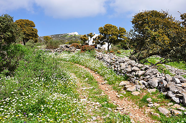 Klostret Agios Theologos.  Amorgos.