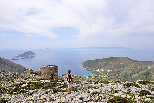 Machos. Amorgos.