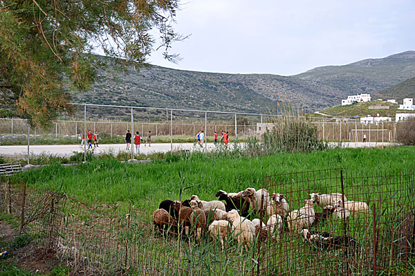 Fotboll på Amorgos.