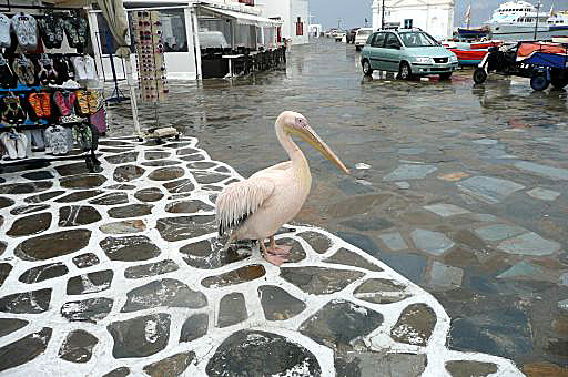 Ankomst till ett regnigt Mykonos.