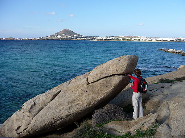 Hajen i Agia Anna. Naxos.