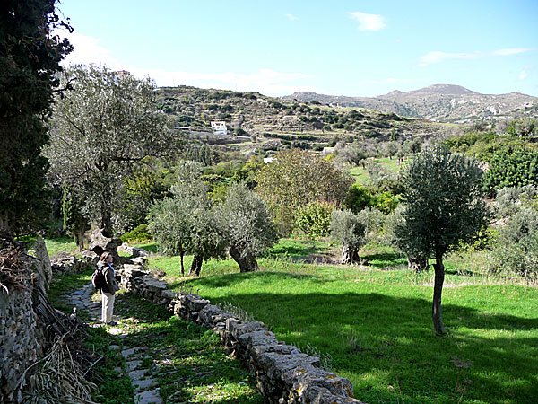 Vandring till Melanes. Naxos.