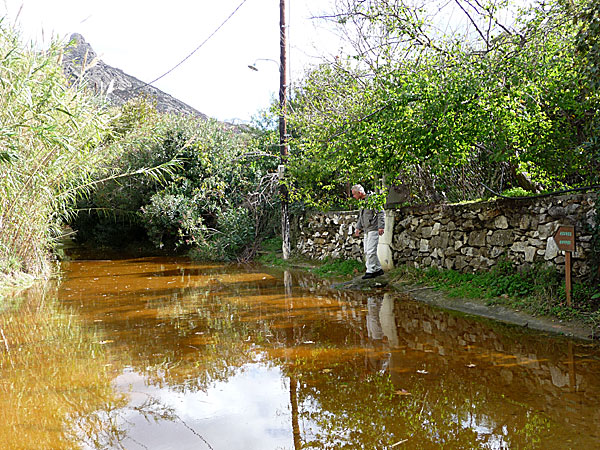 Kouroserna utanför Melanes. Naxos.