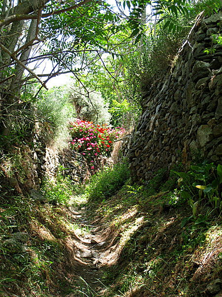 Naxos. Melanes.