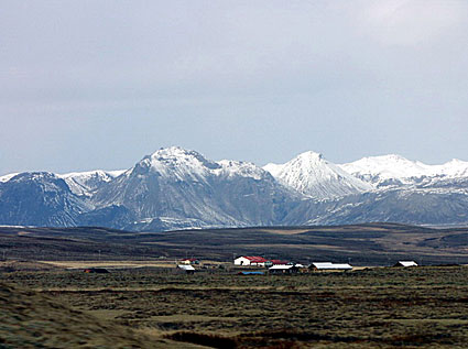 Islands dyraste islandshäst