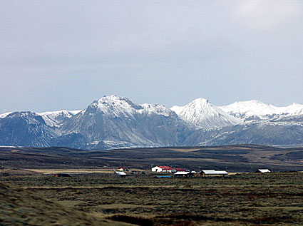 Islands dyraste islandsh&auml;st