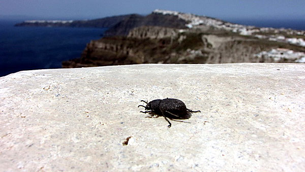 Det var fler än vi som kollade utsikten på Santo Wines. Santorini.