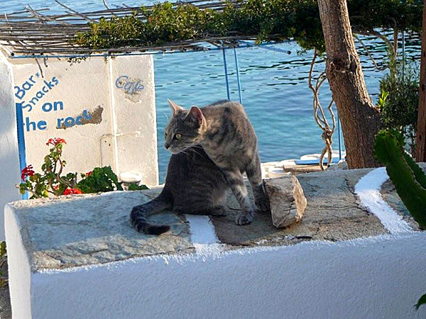 Sifnos. Faros. Aperanto.