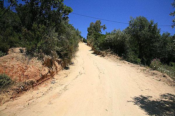 Backen och stigen till Banana beach på Skiathos.