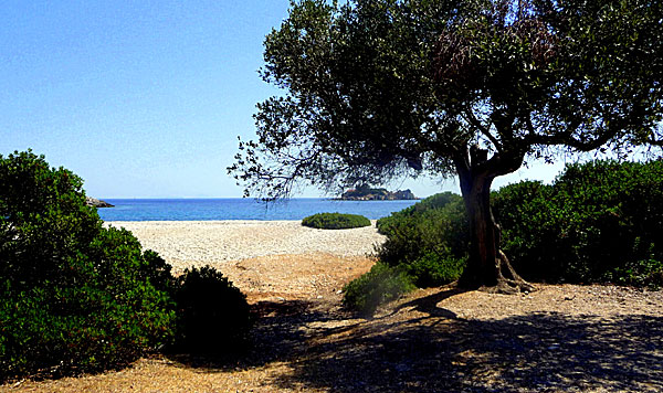 Marmaka beach. Ithaka.