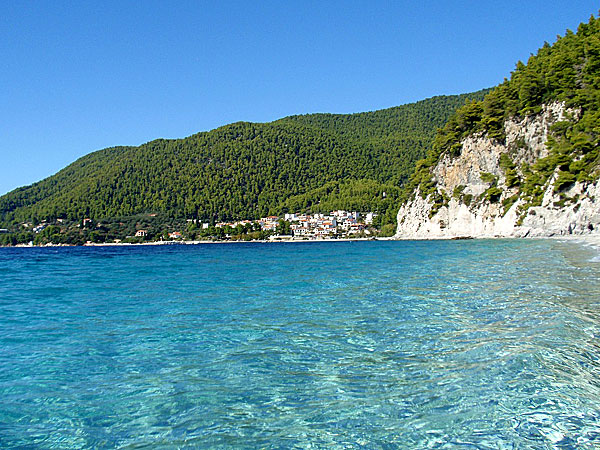 Hovolo Beach. Skopelos.