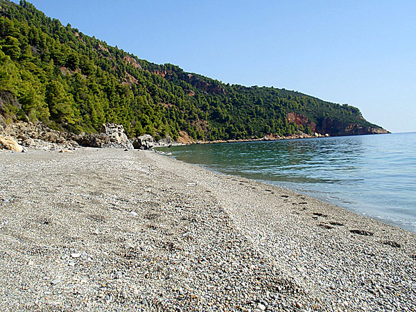 Velanio. Skopelos.