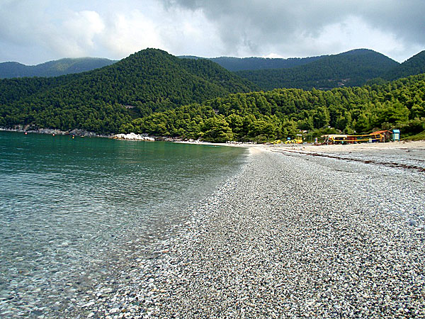 Milia. Skopelos.