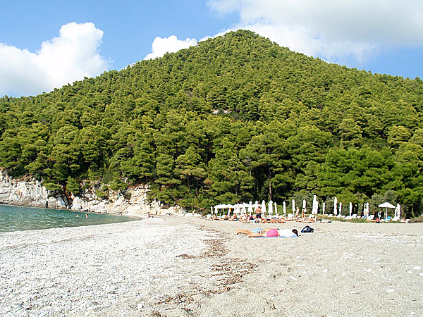 Kastani. Skopelos.