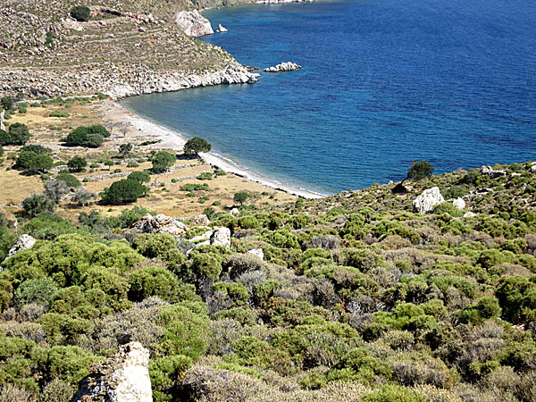 Lethra beach. Tilos.