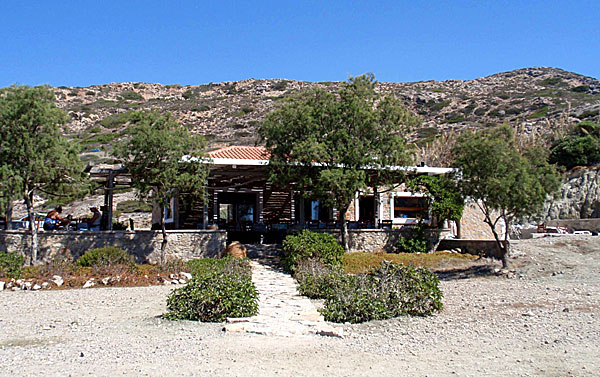 Tavernan Under the trees. Karpathos.