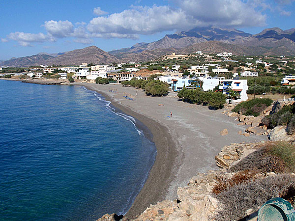 Makrigialos. Kalamokania. Kreta.