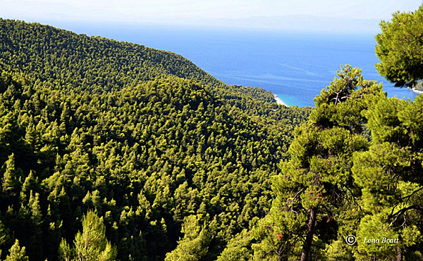 Vackra Skopelos.