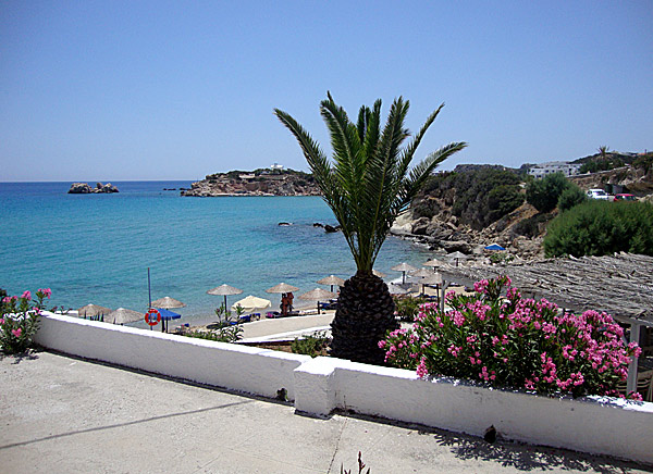 Karpathos. Amopi.