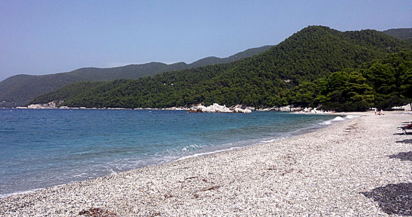 Milia. Skopelos.