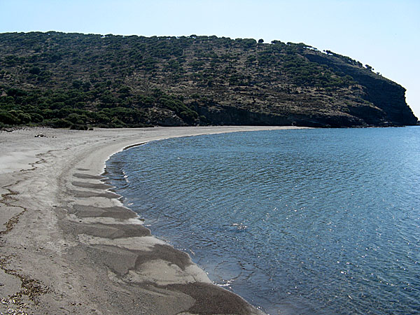 Agios Efstratios. Lidario beach.