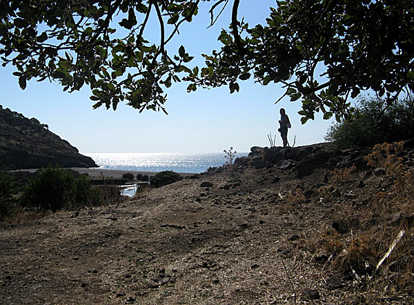 Agios Efstratios. Lidario beach.