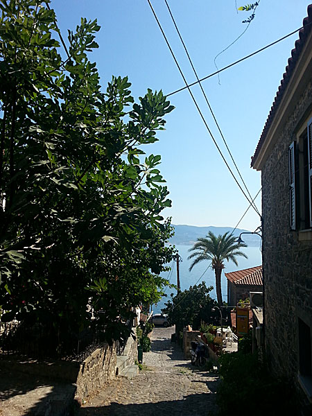 Molyvos. Lesbos.