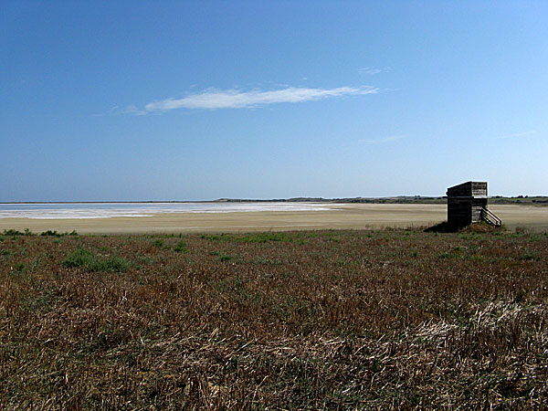 Limnos: Aliki, saltsjö, en av de två insjöarna på öns östra del.