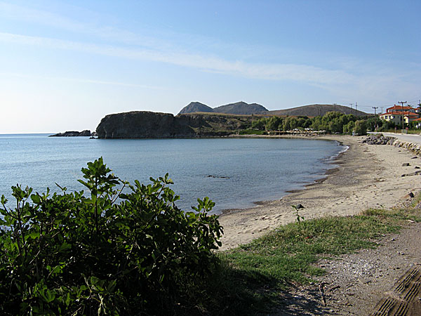 Limnos: Agios Ioannis-stranden.