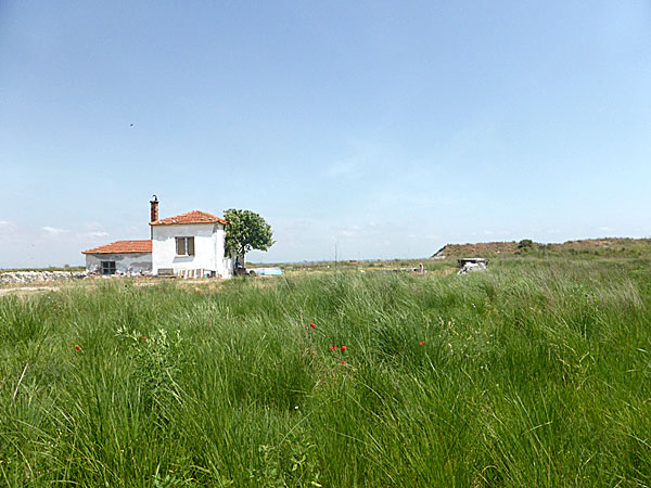 Havsnära idyll i Porto Lagos-området.