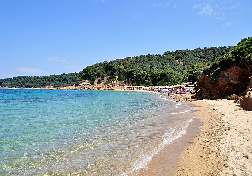 Nudism på Little banana beach på Skiathos.