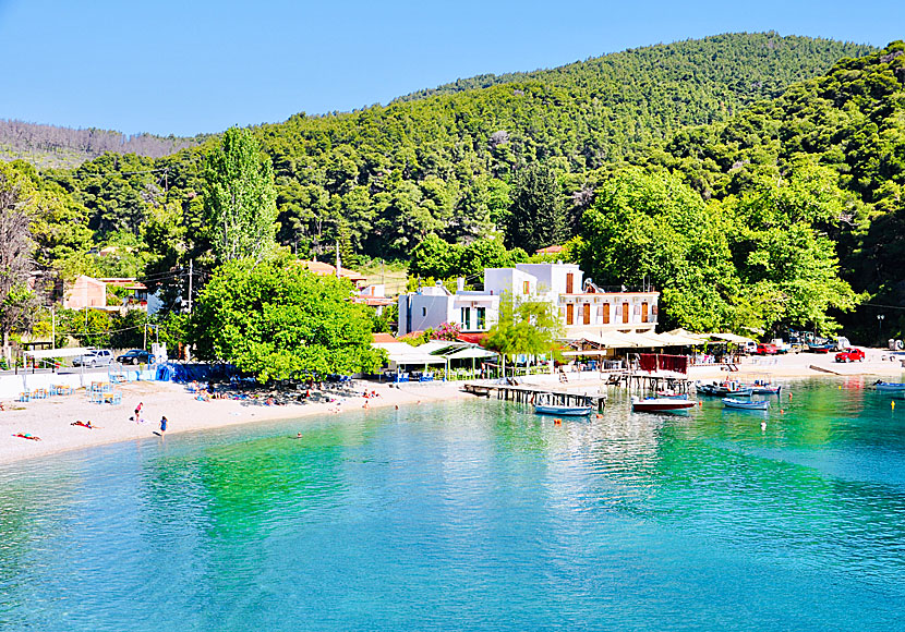 Att resa till Grekland i september är helt underbart. Då ser det ut som i Agnontas på Skopelos.